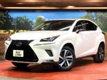 2019 Lexus NX