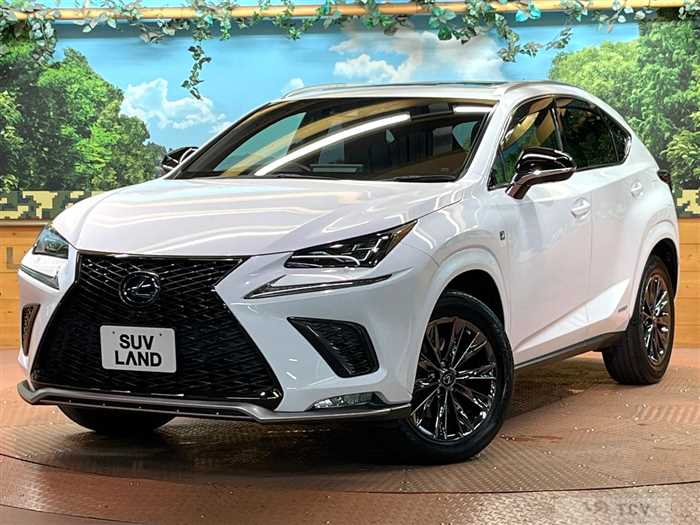 2020 Lexus NX