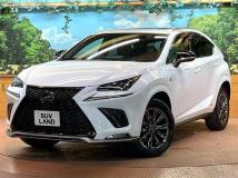 2020 Lexus NX