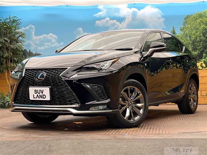 2020 Lexus NX