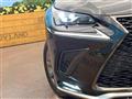 2020 Lexus NX