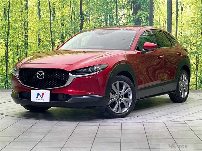 2021 Mazda Mazda Others