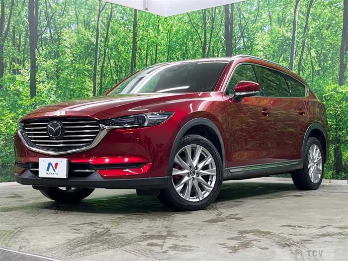 2018 Mazda CX-8