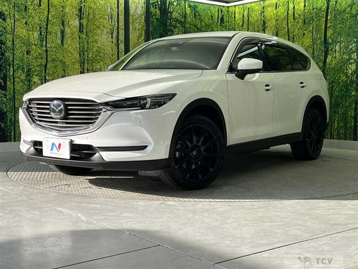 2019 Mazda CX-8