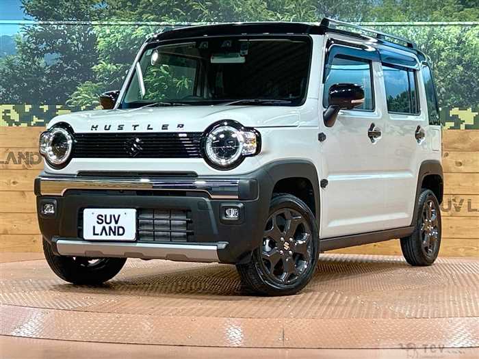 2025 Suzuki Hustler