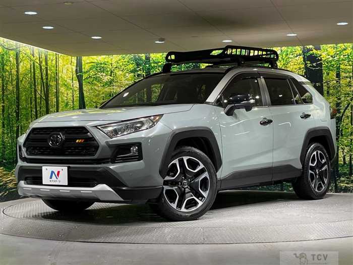 2019 Toyota RAV4