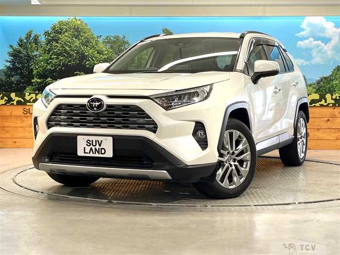 2020 Toyota RAV4