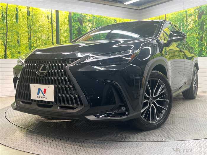 2023 Lexus NX