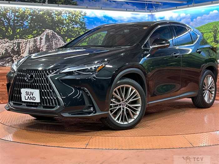 2023 Lexus NX