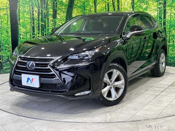 2015 Lexus NX