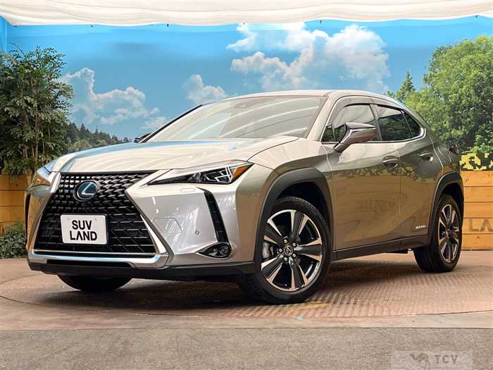 2021 Lexus Other