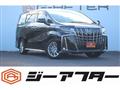 2020 Toyota Alphard G