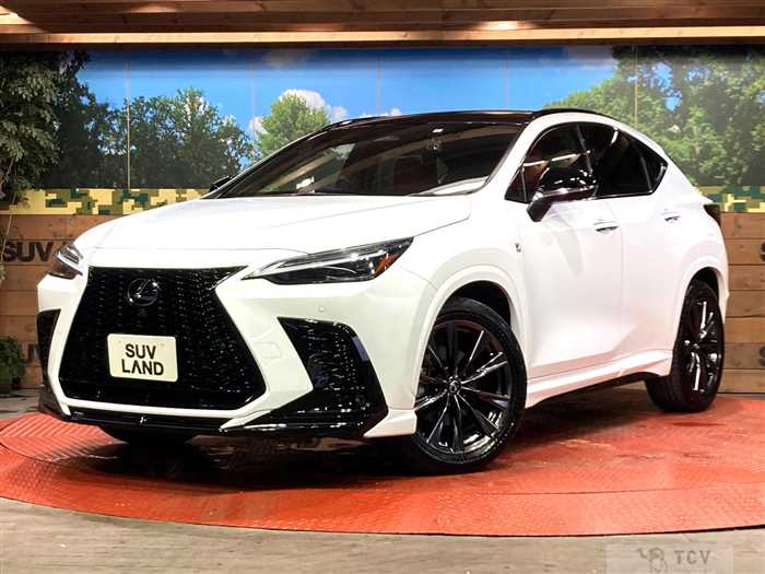 2023 Lexus NX