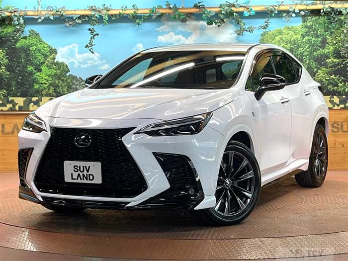 2023 Lexus NX