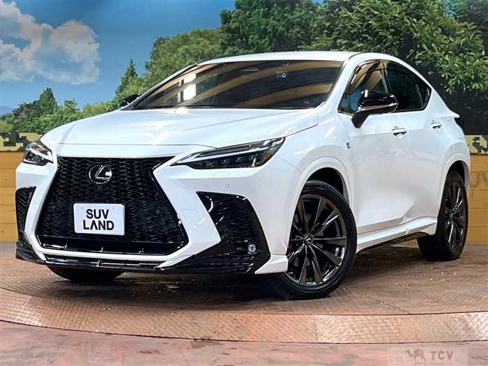 2021 Lexus NX