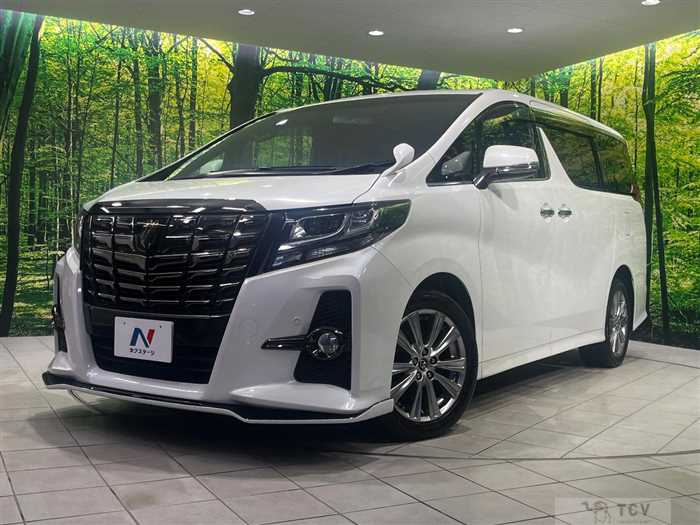 2016 Toyota Alphard