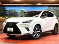 2019 Lexus NX