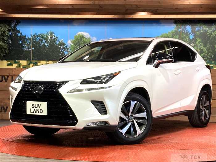 2019 Lexus NX