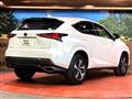 2019 Lexus NX