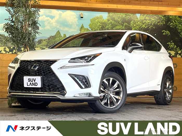 2021 Lexus NX