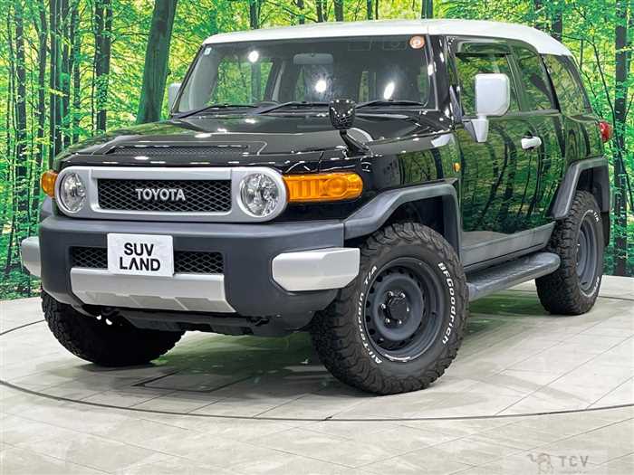 2013 Toyota FJ Cruiser