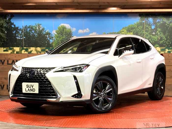 2019 Lexus Other