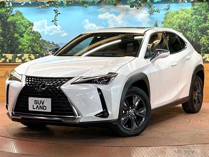 2022 Lexus Other