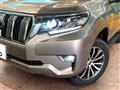 2019 Toyota Land Cruiser Prado