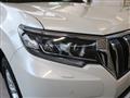 2021 Toyota Land Cruiser Prado