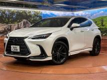 2023 Lexus NX