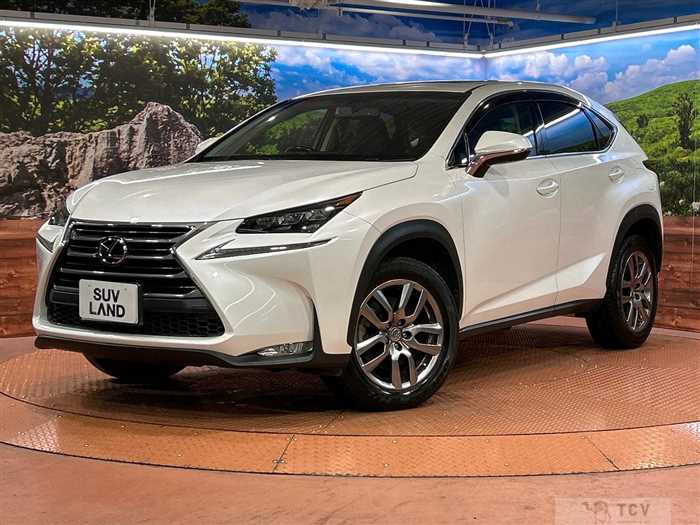 2015 Lexus NX