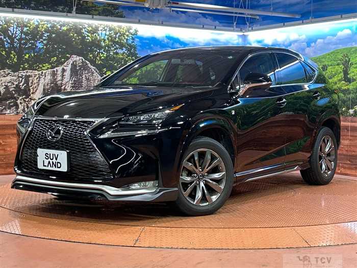 2015 Lexus NX