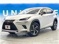 2019 Lexus NX