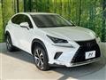 2019 Lexus NX