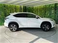 2019 Lexus NX