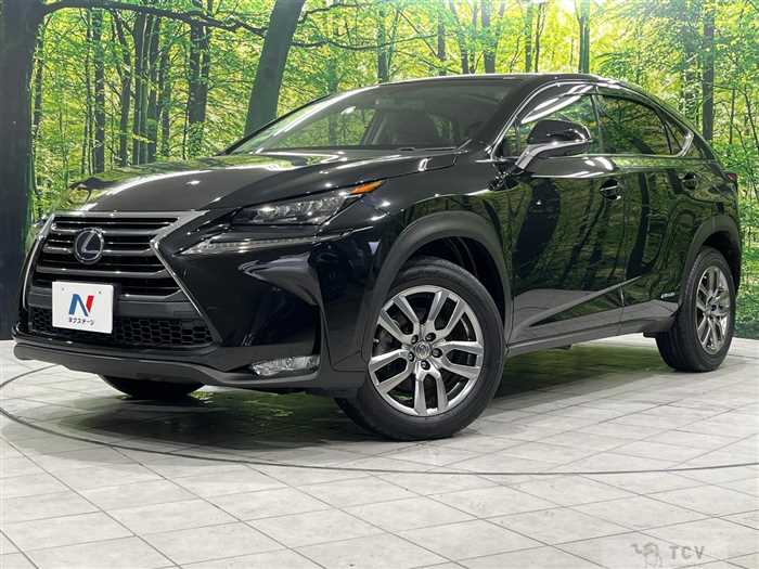 2015 Lexus NX