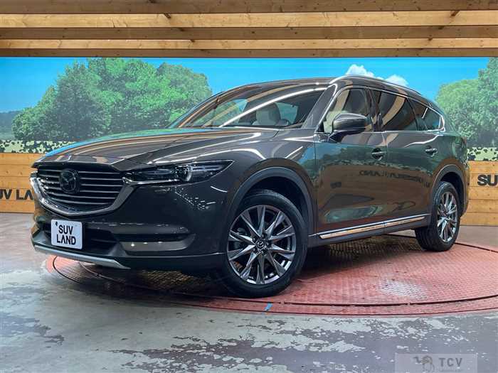 2019 Mazda CX-8