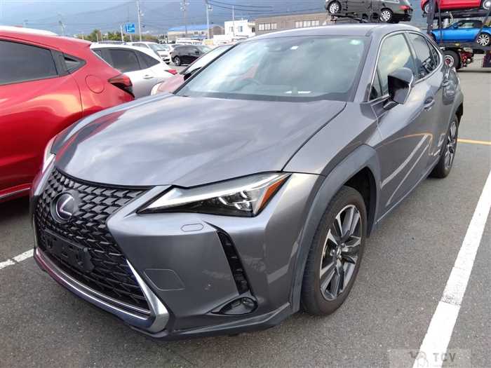 2018 Lexus Other