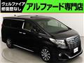 2016 Toyota Alphard G