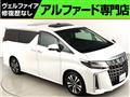 2020 Toyota Alphard G