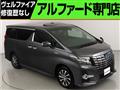 2016 Toyota Alphard G