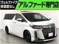 2019 Toyota Alphard G