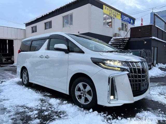 2019 Toyota Alphard G