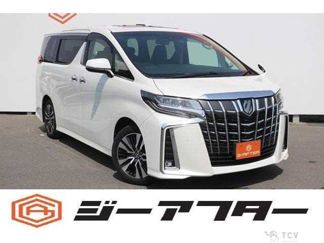 2019 Toyota Alphard G