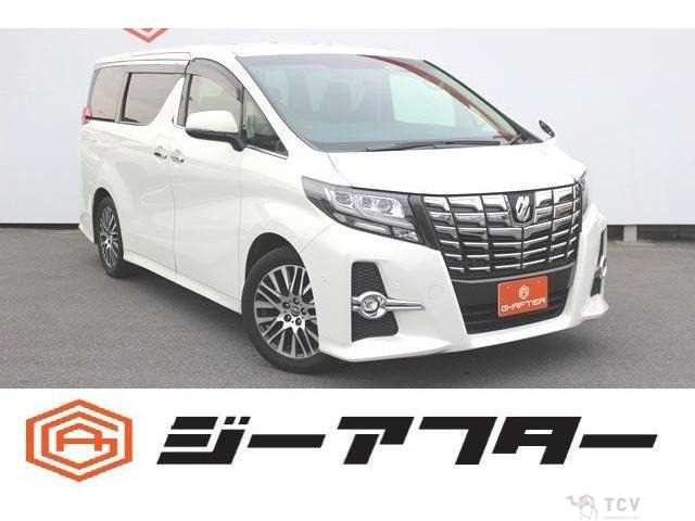 2015 Toyota Alphard G