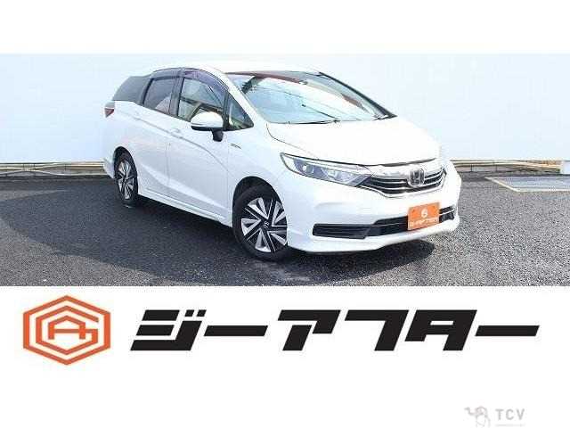 2019 Other All Other All