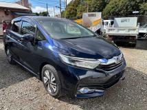 2016 Other All Other All