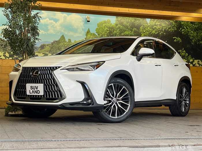 2023 Lexus NX