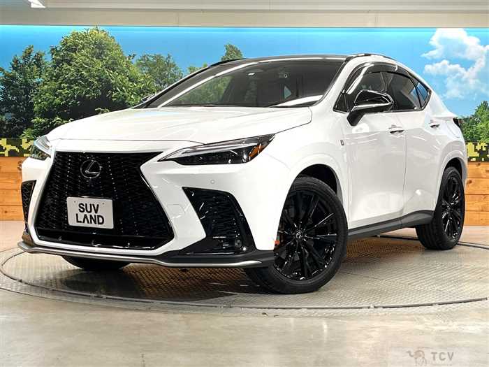 2023 Lexus NX