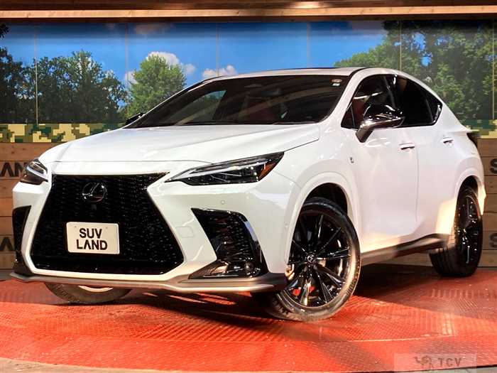 2023 Lexus NX